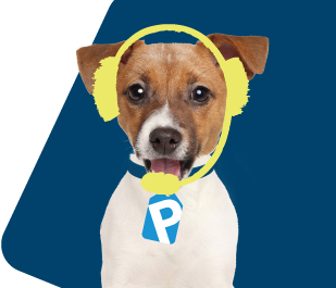 PromoShop Pogo Dog Image